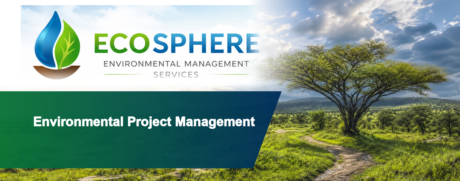Environmental project management
